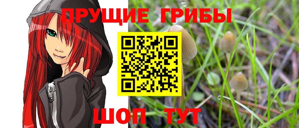 Псилоцибиновые грибы мухоморы Медногорск